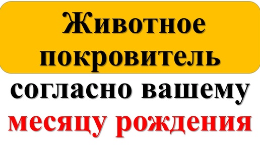 Животное-покровитель по месяцу рождения: Символика, значение и как оно влияет на вашу жизнь