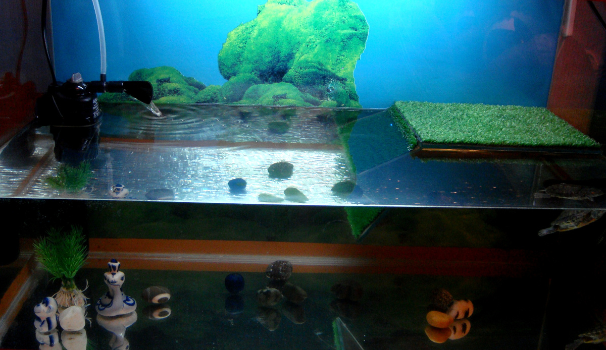 Первый аквариум наших питомцев.