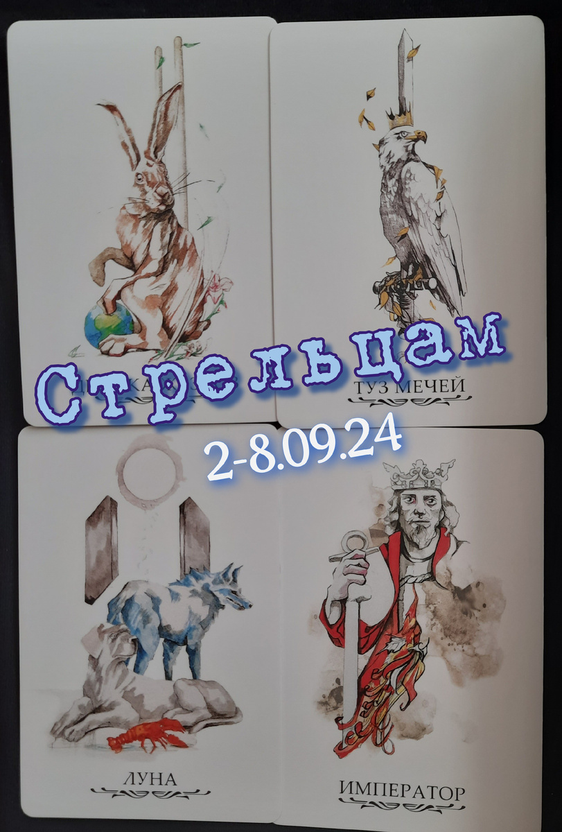 фото ЕлВита