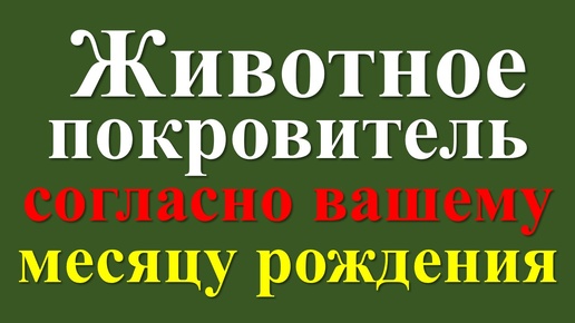 Животное-покровитель по месяцу рождения: Символика, значение и как оно влияет на вашу жизнь