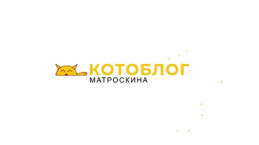 Дайте коту шанс попасть в КНИГУ РЕКОРДОВ! Выращиваем кота - долгожителя