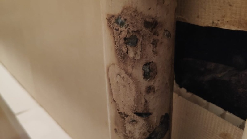      Фото: личный архив Валерии Сердюковой (имя изменено по просьбе собеседницы «Победы26»)