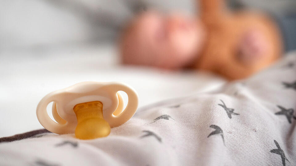 Фото: © Global Look Press/Sebastian Gollnow/dpa