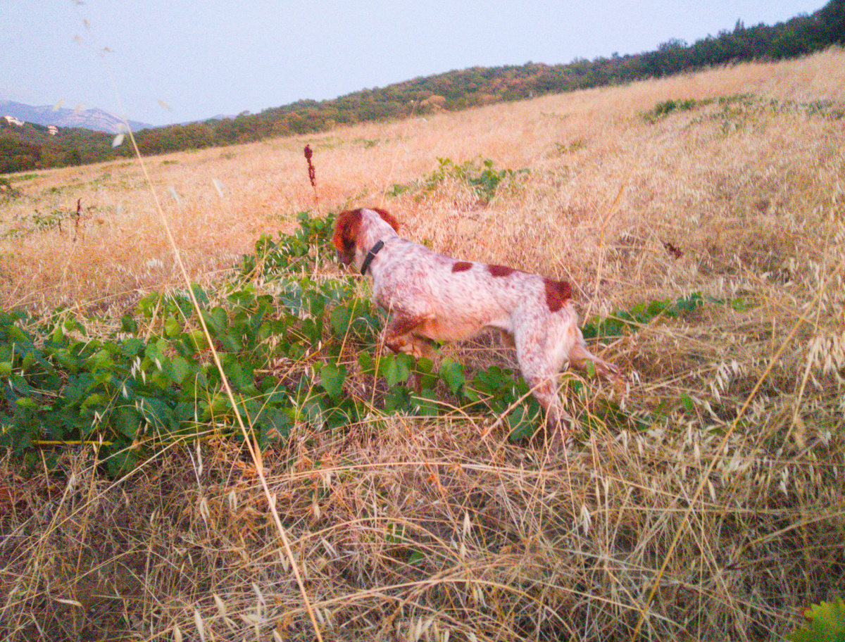 В 3-4 метрах от машины стойка!