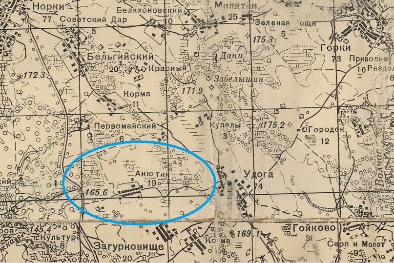 Фрагмент карты военных лет. Свободный источник. Яндекс картинки.