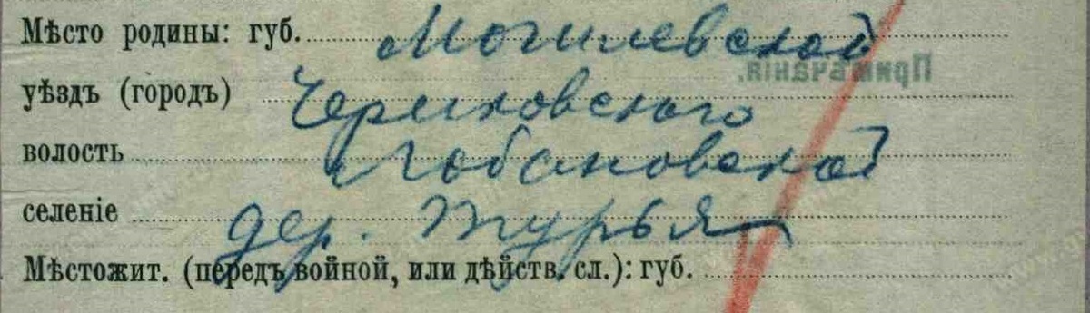 Фрагмент документа на Д.Н. Тяпина. Свободный источник. Яндекс картинки.