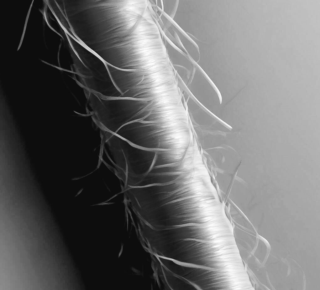 ПРОЧНЫЙ ВОЛОС