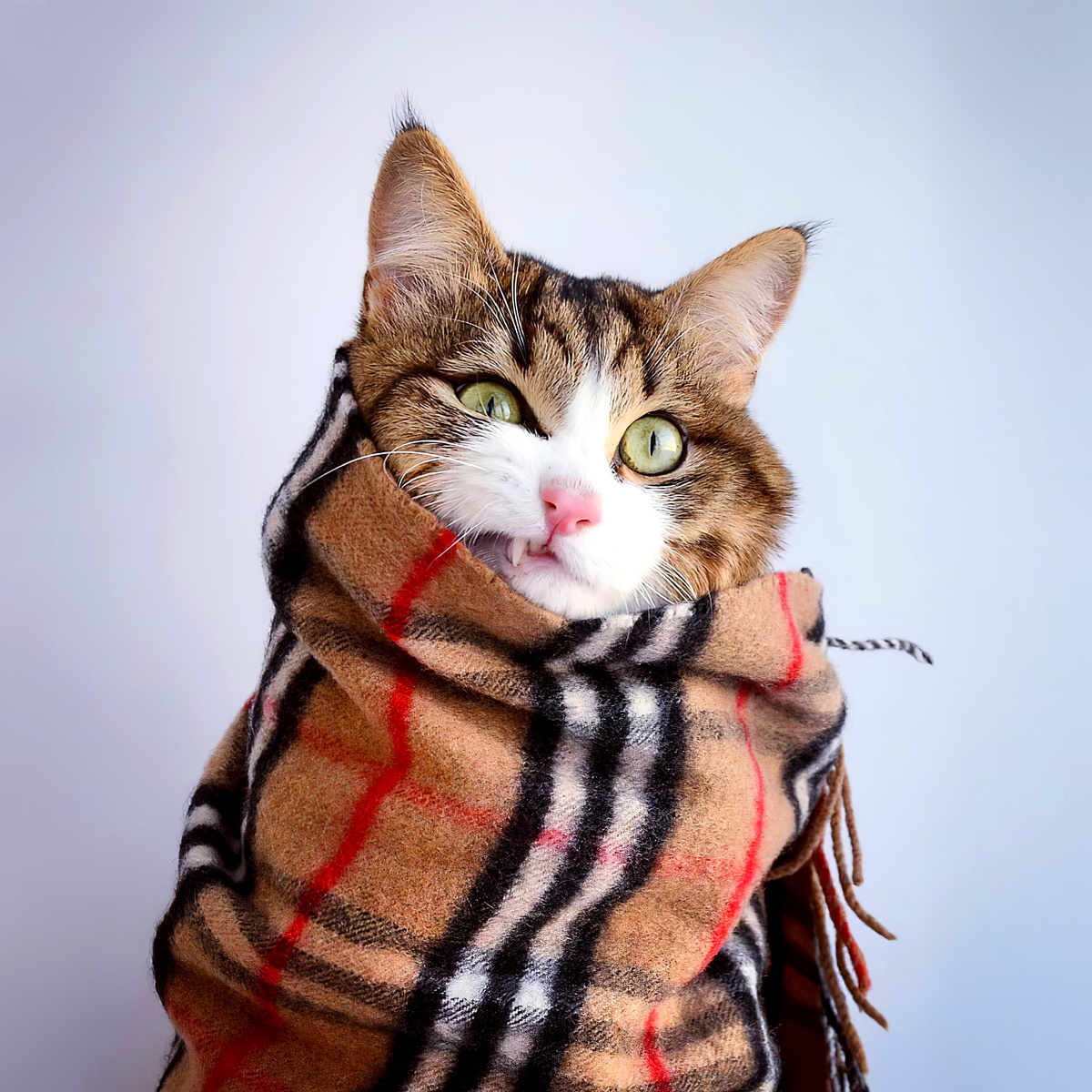 – Да и декабрь туда же...