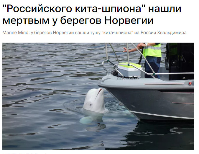 Ссылка выше
