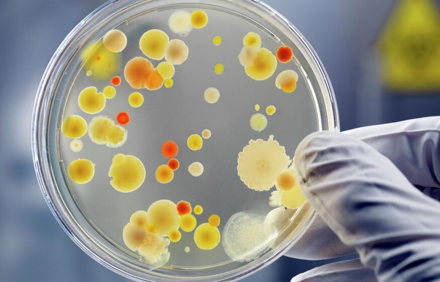    Бойцы ВСУ оказались разносчиками опасных бактерий