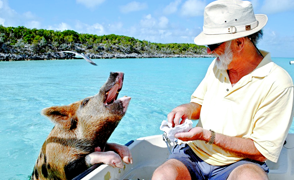 Снимок: drive2.ru