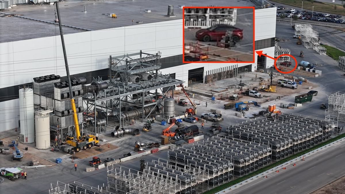 Фото: Joe Tegtmeyer/X  📷
