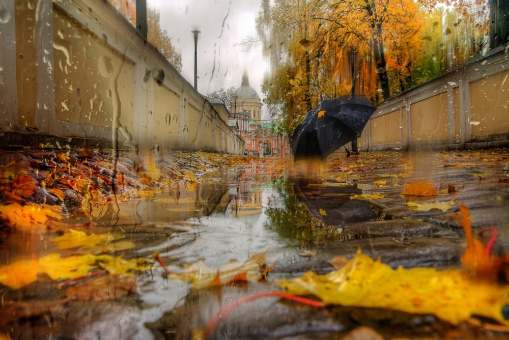 Если мне не изменяет память, то это фото из серии "Осень в фотографиях Эдуарда Гордеева".