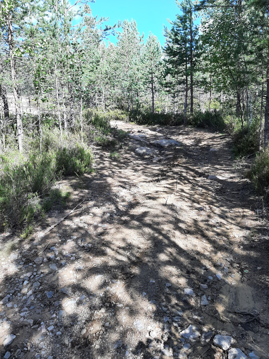 Камни на дороге.