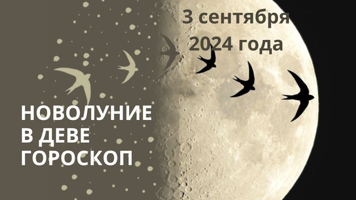 ♍ НОВОЛУНИЕ В ДЕВЕ. КАКИЕ ЗНАКИ ОНО ЗАТРОНЕТ? ⭐ ГОРОСКОП ⭐ Контакты floransia@yandex.ru