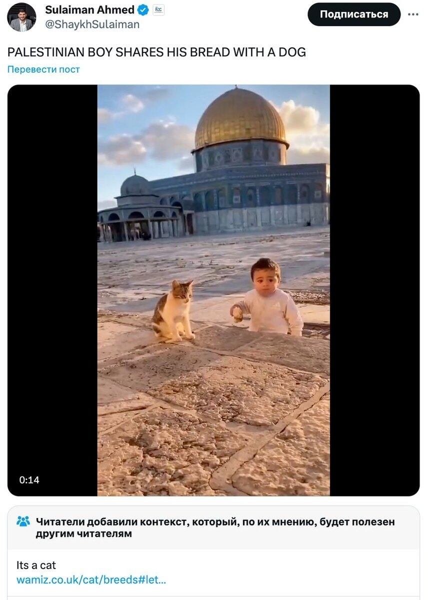 Добавьте описание
