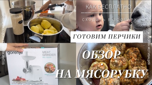 🐐КАК БЕСПЛАТНО СХОДИТЬ В ЗООПАРК| ОБЗОР МЯСОРУБКИ Gorenje| 🫑ФАРШИРОВАННЫЕ ПЕРЧИКИ