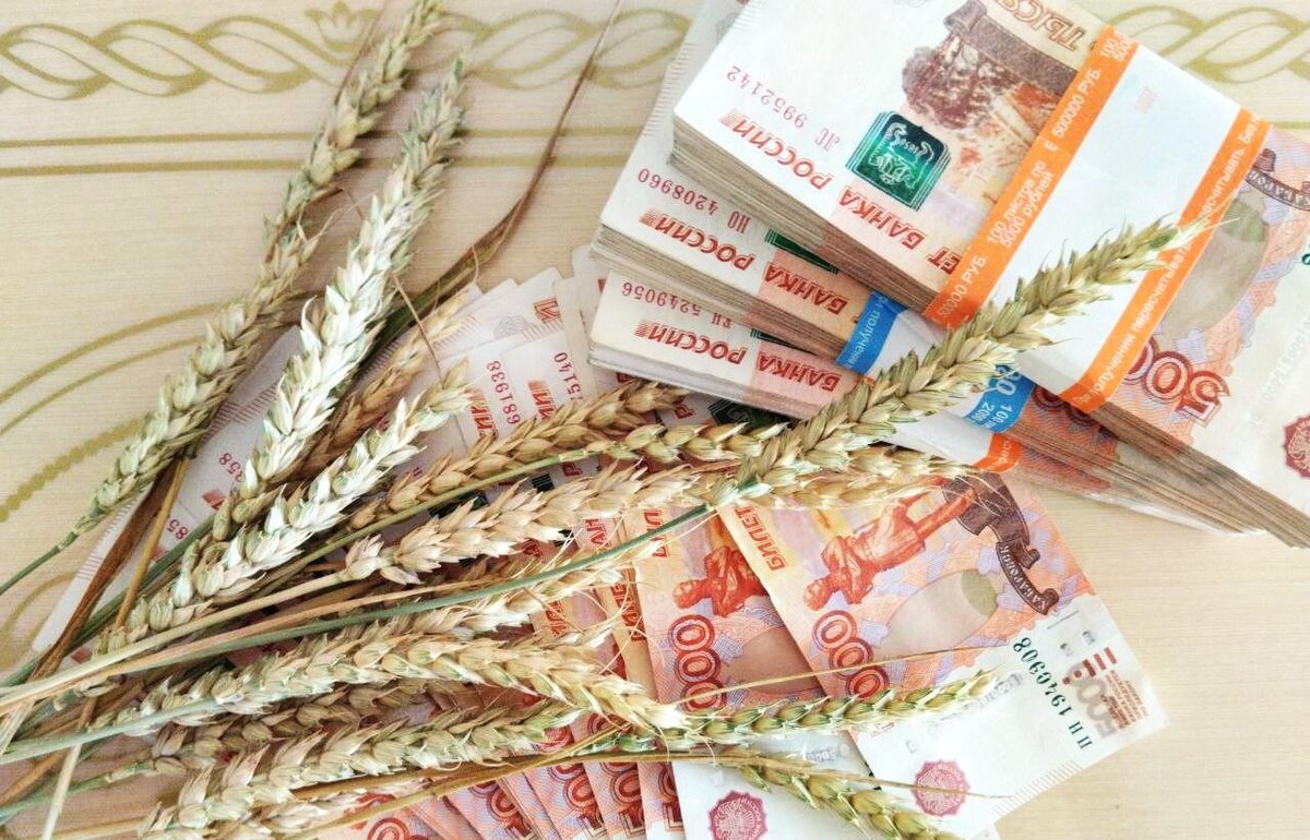 Фото: АПК Новости