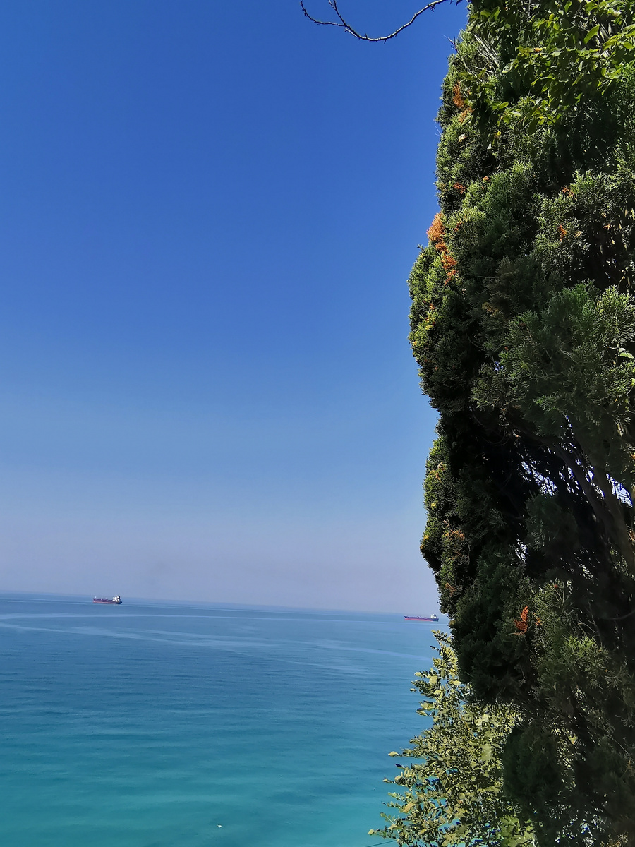 Великолепие красок. Фото автора.