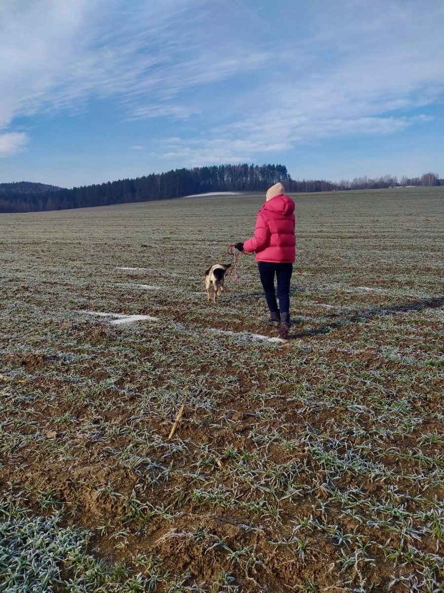 Это моё фото с моей собакой для разнообразия. 