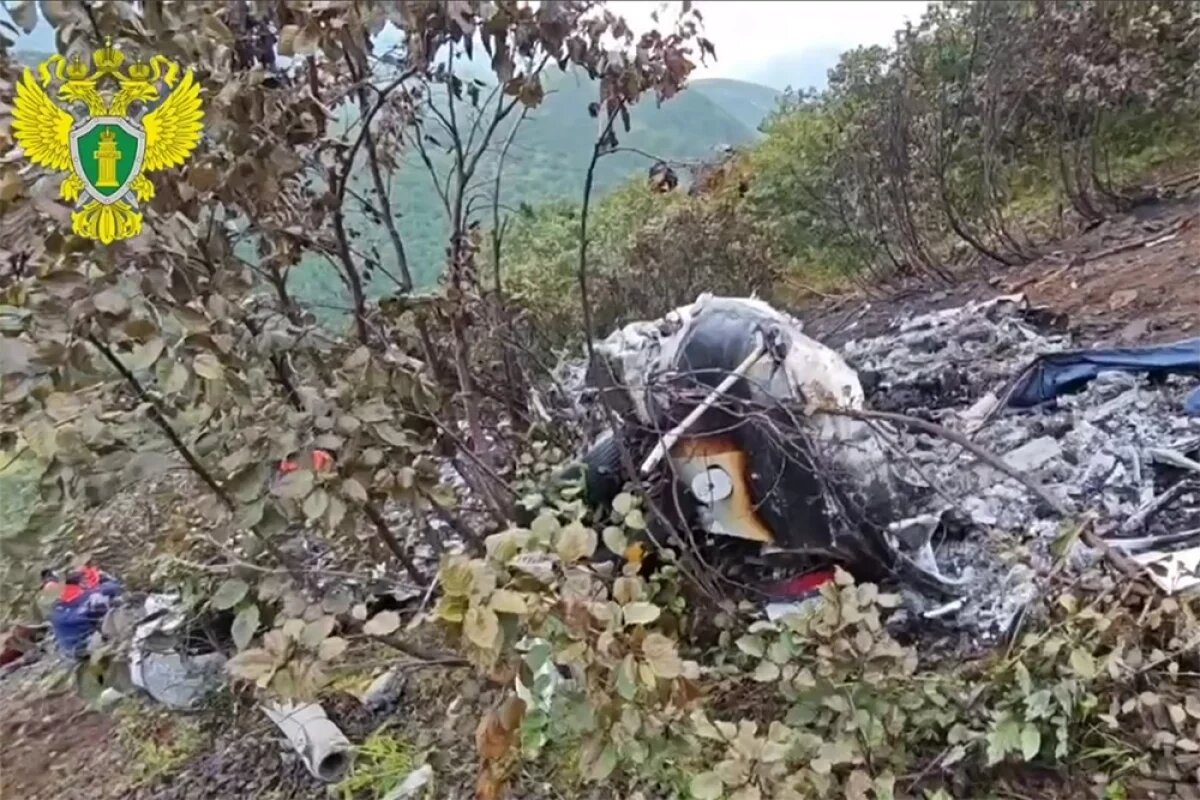    Известные братья-двойняшки потеряли своих жен в катастрофе Ми-8 на Камчатке