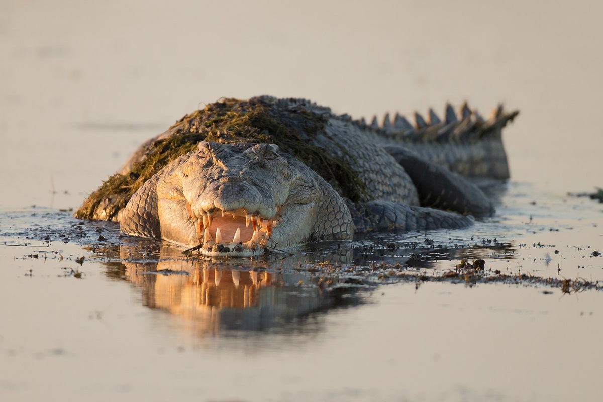 Будем считать, что он нам улыбается.