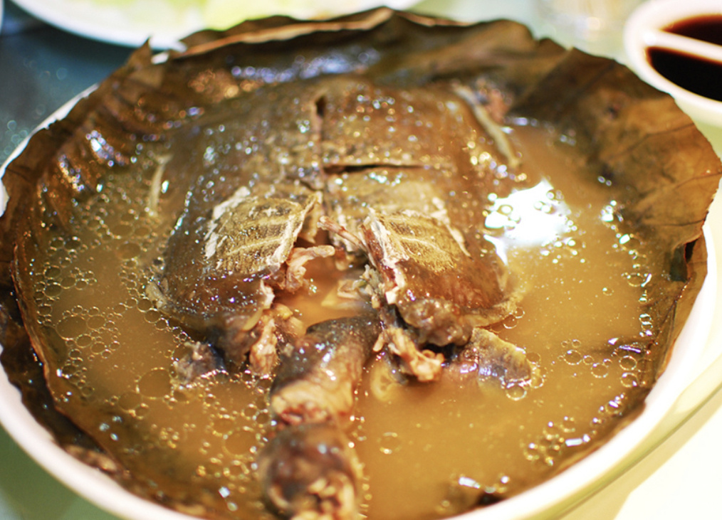 Пример супа из черепахи 