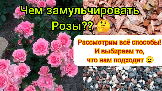 💥Розы🌹- всё способы мульчирования!💣💣💣🤷‍♀️ 💥все плюсы и минусы каждого способа 🤔🤷‍♀️👍👍👍!