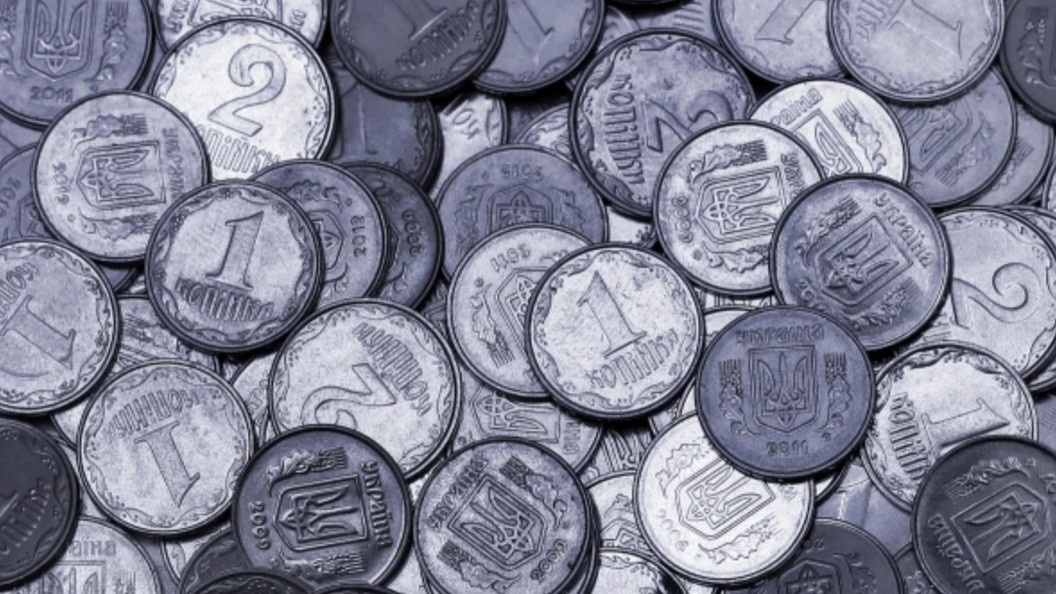    ФОТО: AQUATARKUS / SHUTTERSTOCK