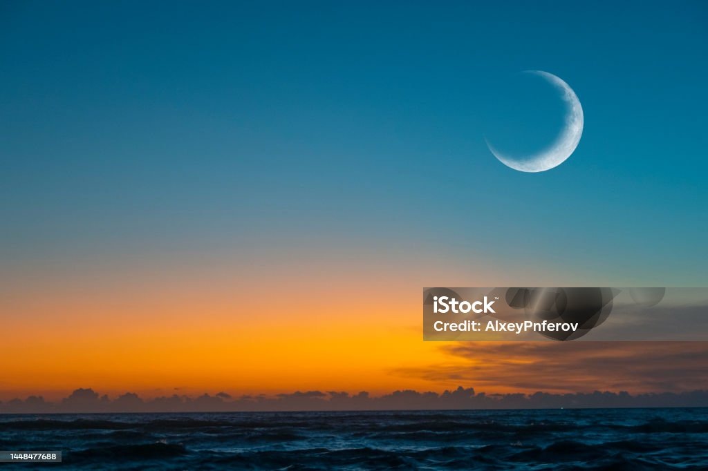 Фото взято из открытых источников