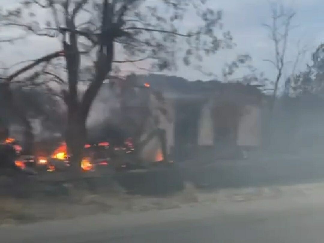 Скриншот | Видео: соцсети