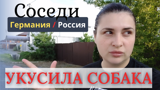 Натравили собаку.Границы. Какие соседи в России и Германии? Из Германии в Россию