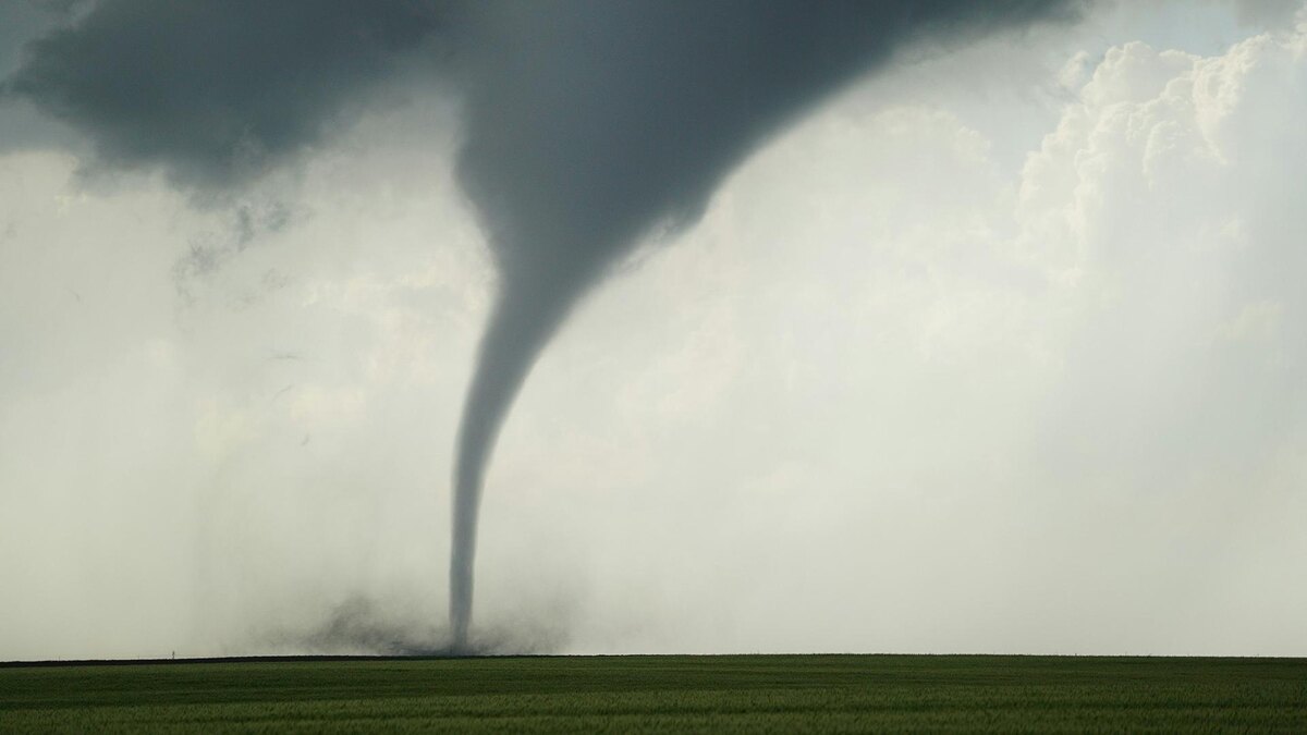 Фото: unsplash.com