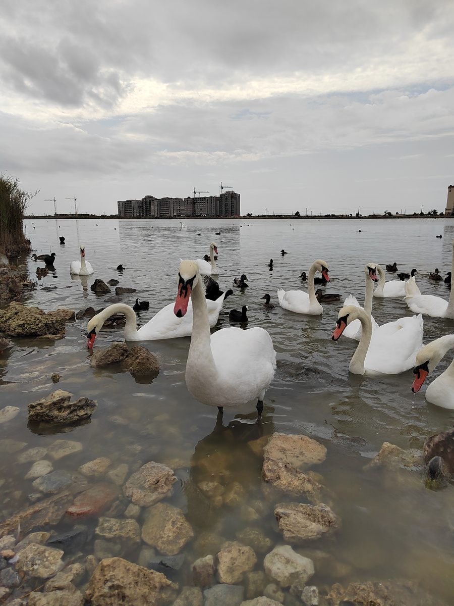 И нам крошки киньте