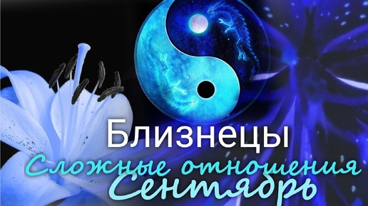 БЛИЗНЕЦЫ ♊ 