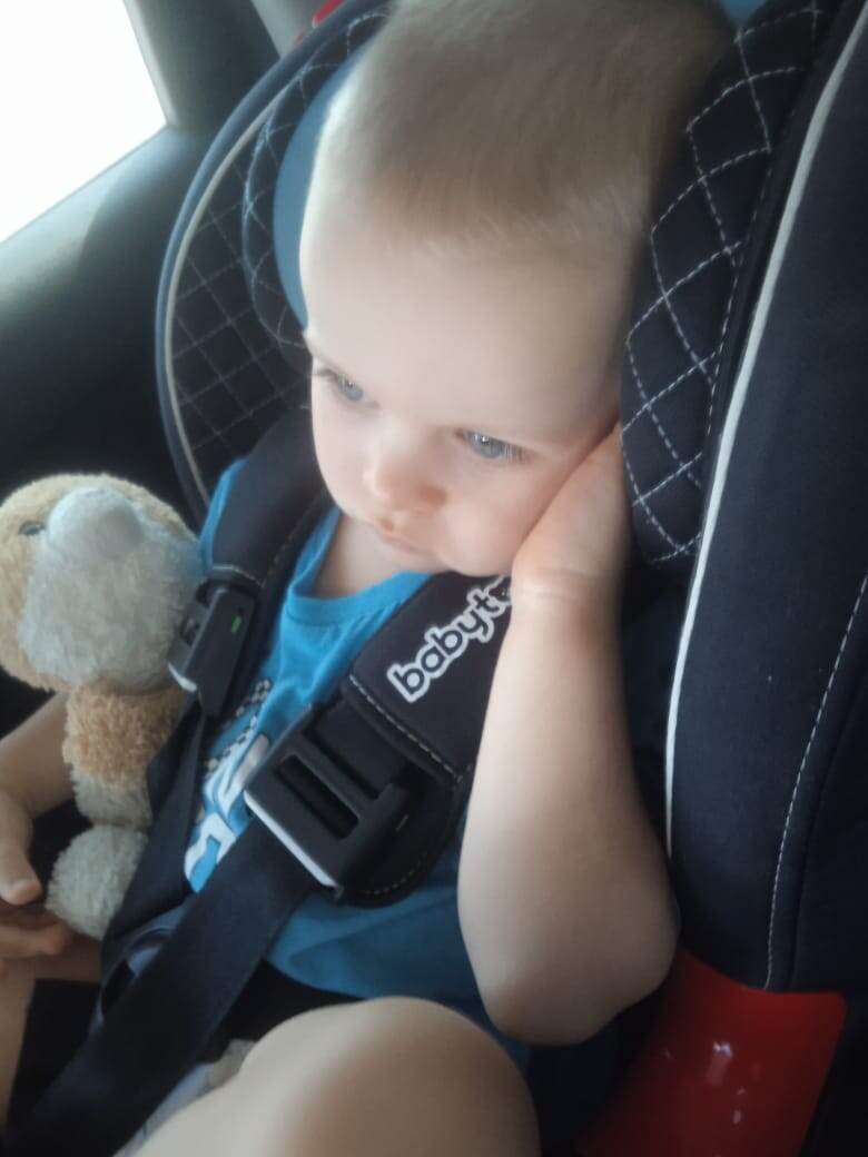 С любимой кошкой