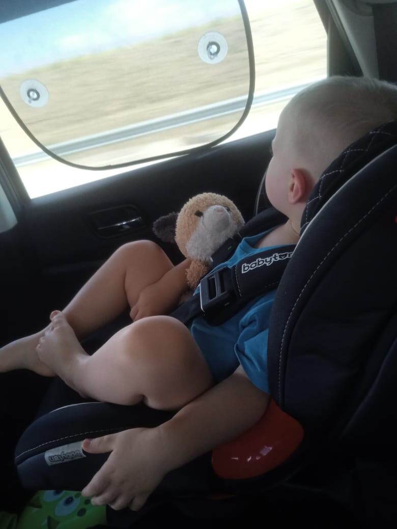 С любимой кошкой