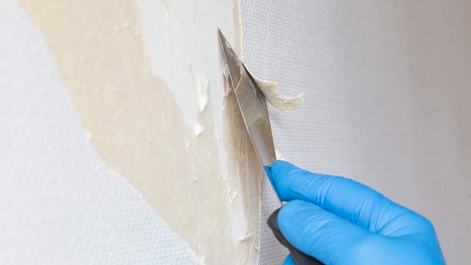 Здесь и далее: ShutterStock/Fotodom.ru