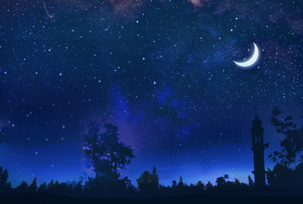 картинки Яндекс