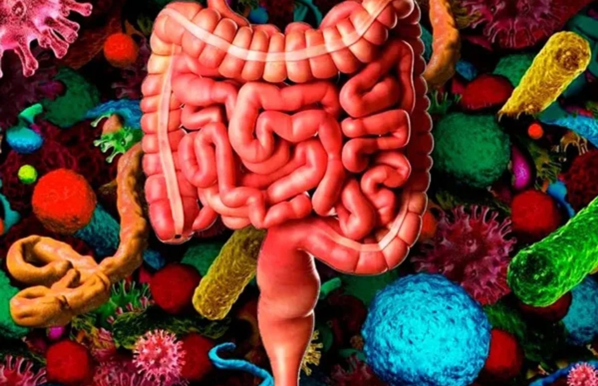 Фото из свободных источников 