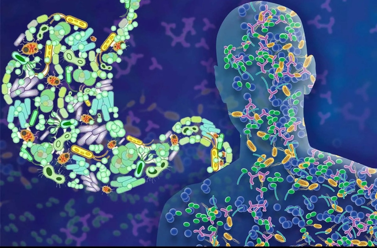 Фото из свободных источников 