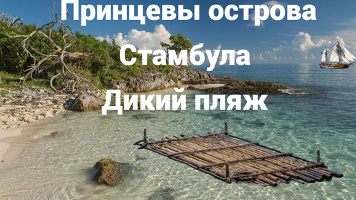 Пляж 🌊☀полудикий Принцевы острова Стамбула @HelenLin1