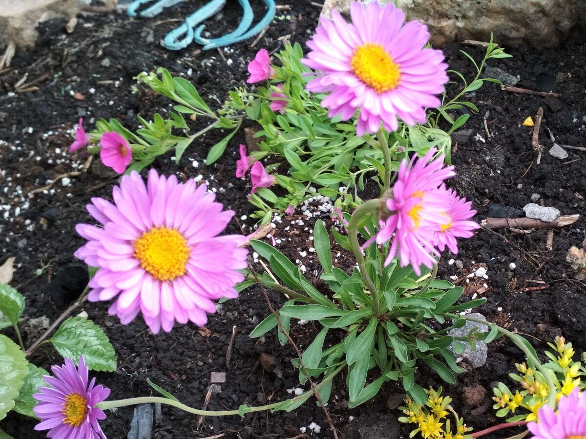 Фото автора канала