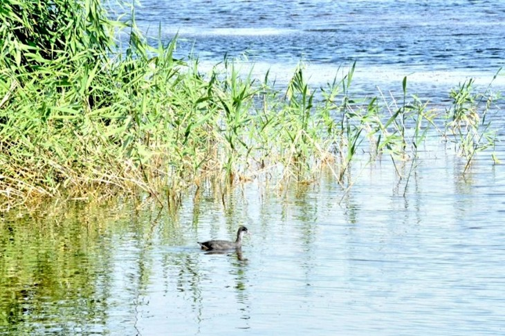 Фото "Родной стороны"