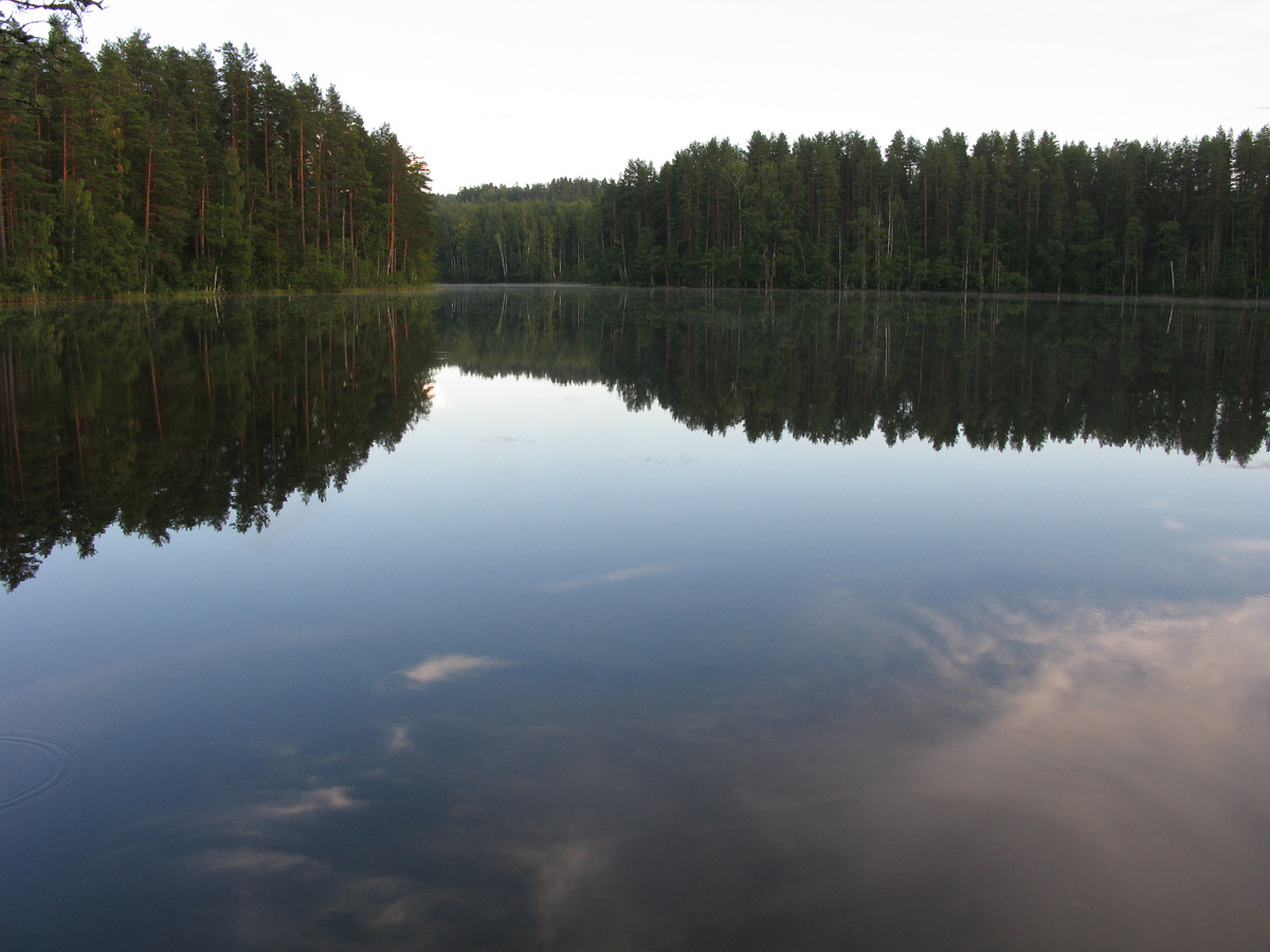 Харламповское озеро, вид из северной части озера в сторону лагеря.