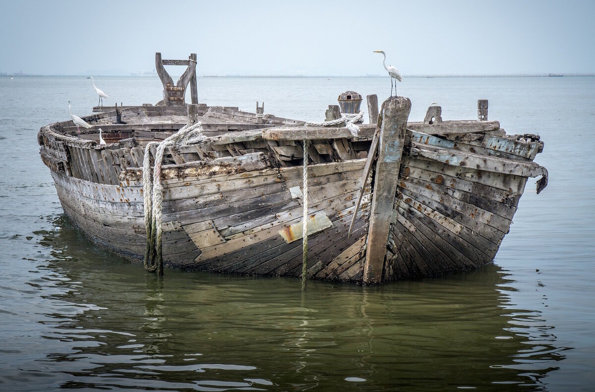 Любая тварь по морю знай себе плывет...