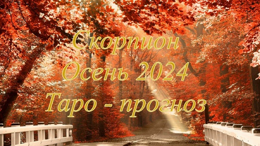 Скорпион. Таро-прогноз на Осень 2024