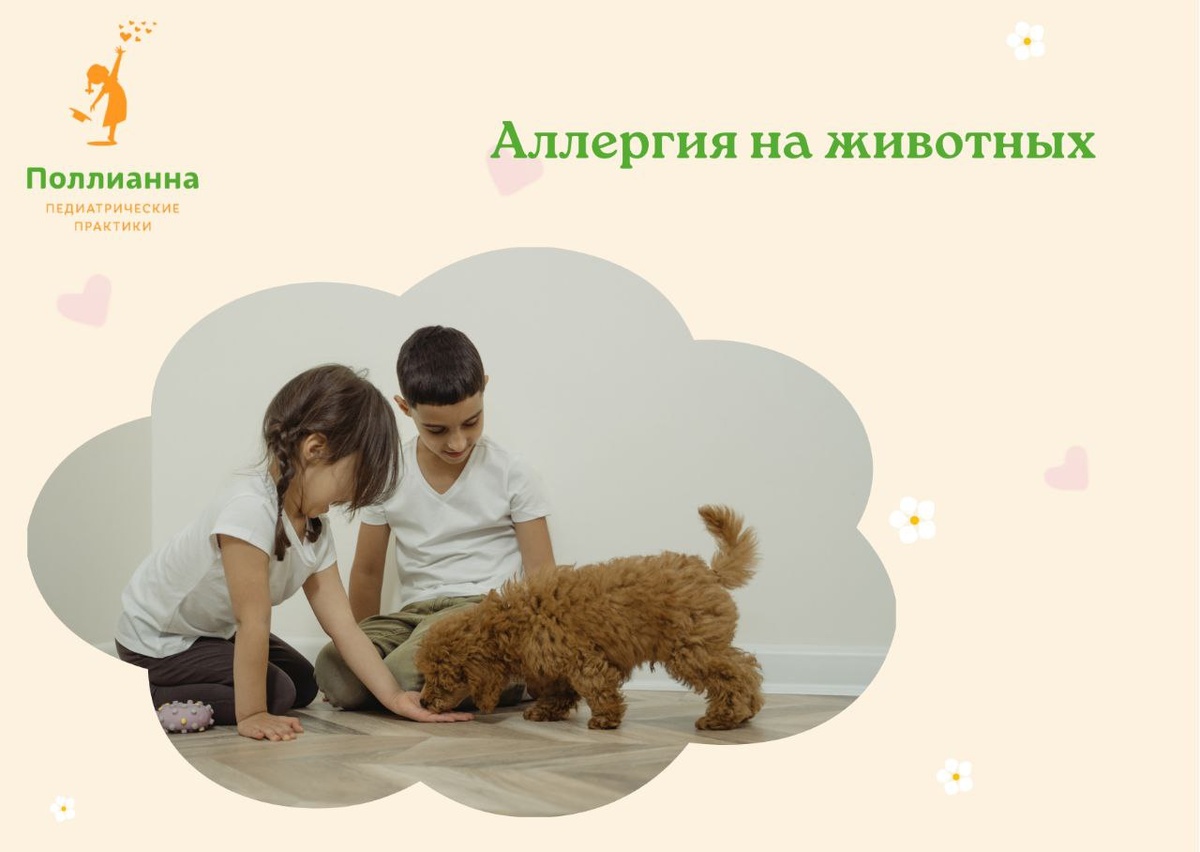 Поллианна педиатрическая практика. Фото из открытых источников.