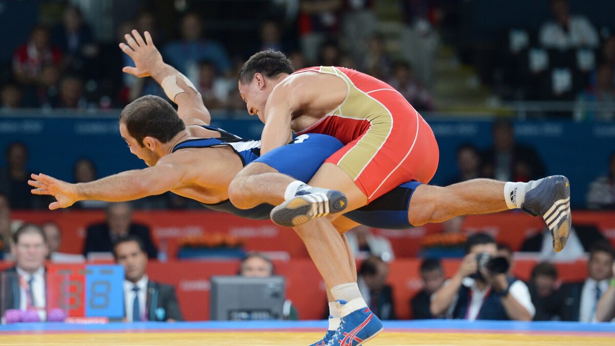 © Sputnik / Владимир Баранов / Перейти в фотобанк
