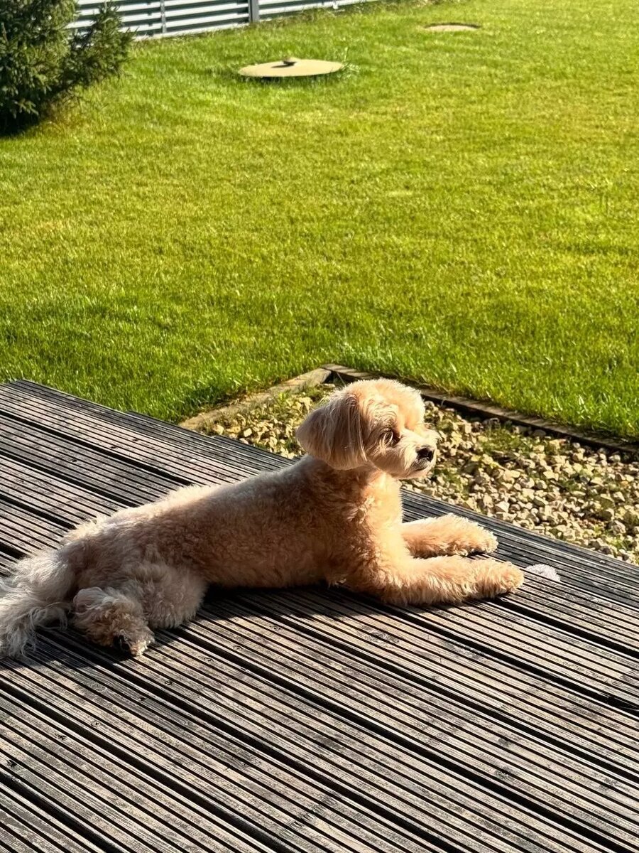     Источник: Telegram-канал Ирины Мягковой